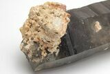 Tessin Habit Smoky Quartz Crystal with Feldspar - Nigeria #208005-3